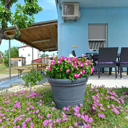 Fuer 3 Personen Ca 30 Qm In Fazana-surida, Istrien Istrische Riviera * Stinjan